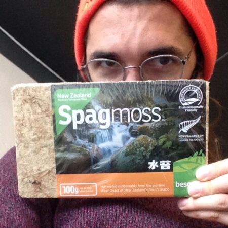 Nodest Spag Moss